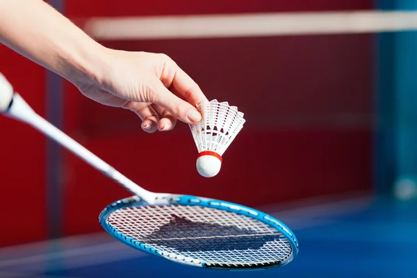 depositphotos_79804048-stock-photo-badminton-sport-in-gym-hand.webp